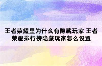 王者荣耀里为什么有隐藏玩家 王者荣耀排行榜隐藏玩家怎么设置